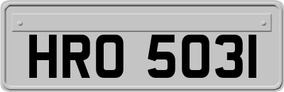 HRO5031