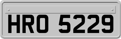 HRO5229