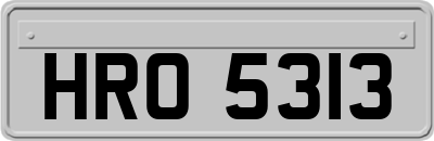 HRO5313
