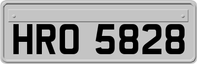 HRO5828