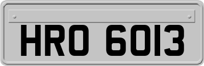 HRO6013