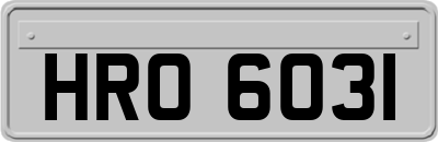 HRO6031