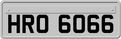 HRO6066