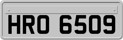 HRO6509