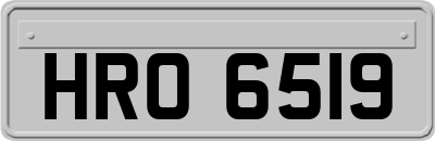 HRO6519