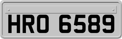 HRO6589