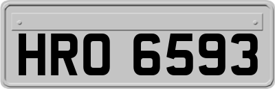 HRO6593