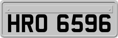 HRO6596