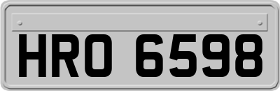 HRO6598