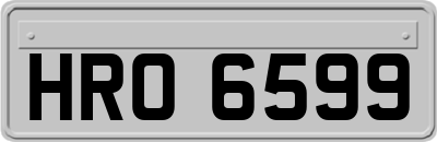 HRO6599