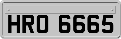 HRO6665