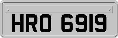 HRO6919