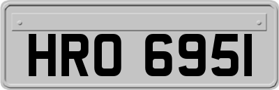 HRO6951