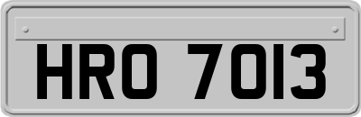 HRO7013