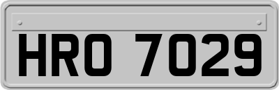 HRO7029