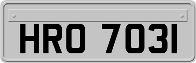 HRO7031