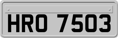 HRO7503