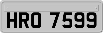 HRO7599