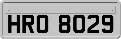 HRO8029