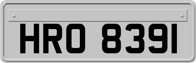 HRO8391