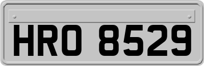 HRO8529