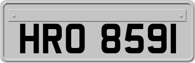 HRO8591