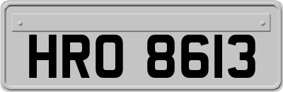 HRO8613