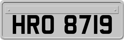 HRO8719