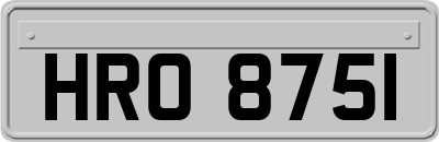 HRO8751