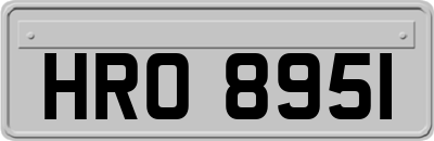 HRO8951