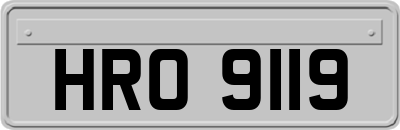 HRO9119