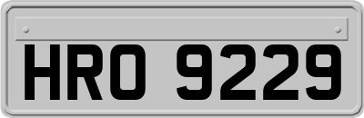 HRO9229