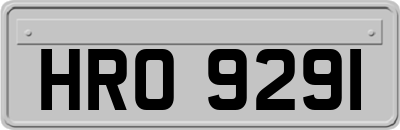 HRO9291