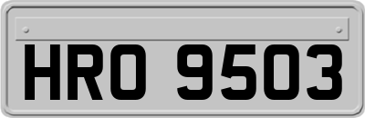 HRO9503