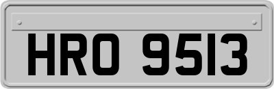 HRO9513