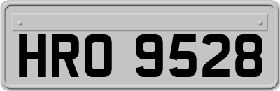 HRO9528