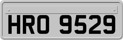 HRO9529