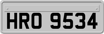 HRO9534