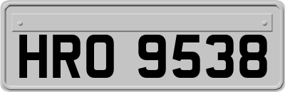 HRO9538