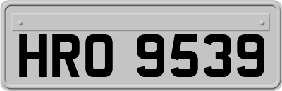 HRO9539