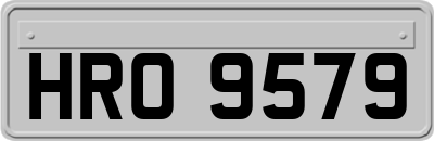 HRO9579