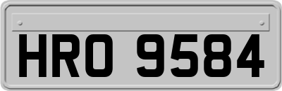 HRO9584