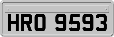 HRO9593