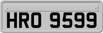 HRO9599