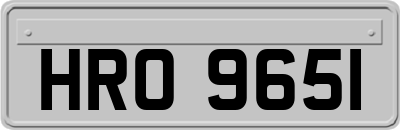 HRO9651