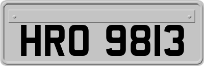 HRO9813