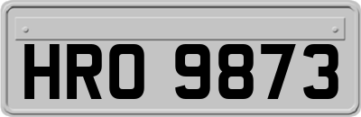 HRO9873