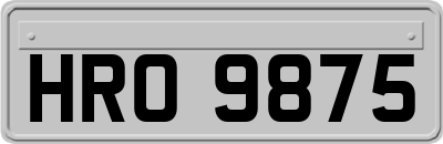 HRO9875