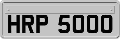 HRP5000