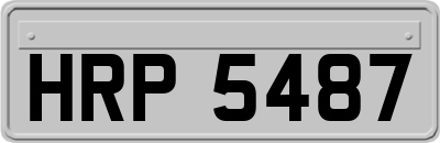 HRP5487